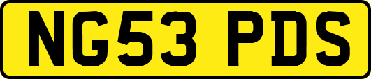 NG53PDS