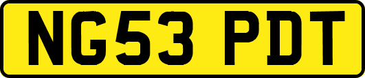 NG53PDT