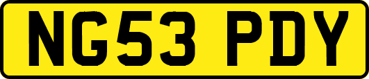 NG53PDY