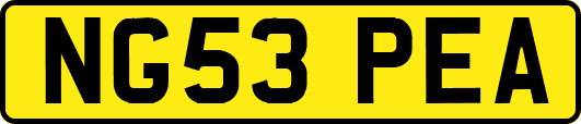 NG53PEA