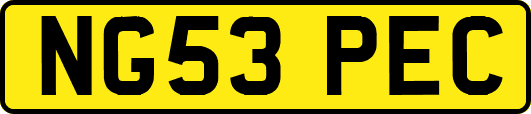 NG53PEC