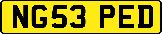 NG53PED