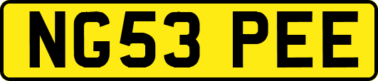 NG53PEE