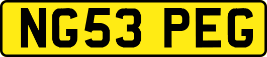 NG53PEG