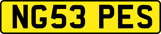 NG53PES