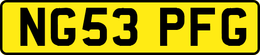 NG53PFG