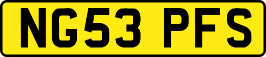 NG53PFS