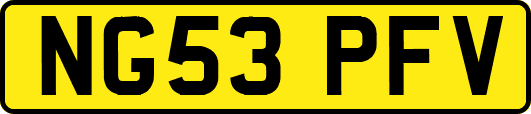 NG53PFV