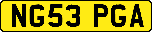 NG53PGA