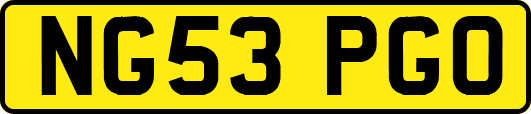 NG53PGO