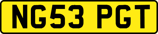 NG53PGT