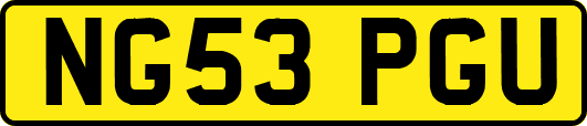 NG53PGU