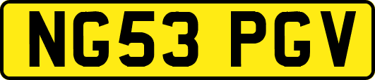 NG53PGV