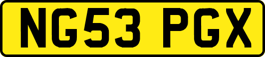 NG53PGX