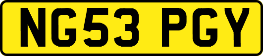 NG53PGY