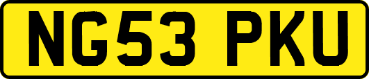 NG53PKU