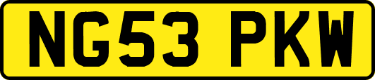 NG53PKW