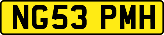 NG53PMH