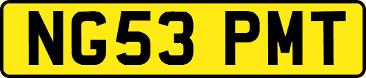 NG53PMT