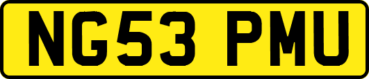 NG53PMU
