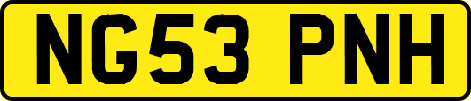 NG53PNH
