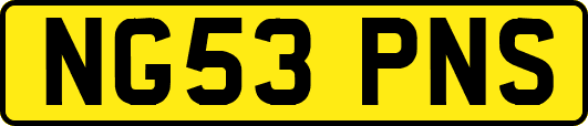 NG53PNS