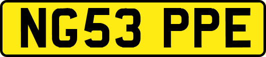 NG53PPE