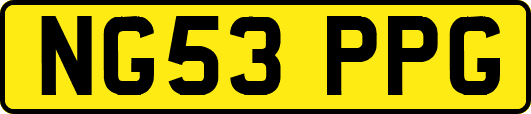 NG53PPG
