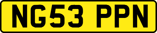 NG53PPN