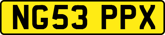 NG53PPX