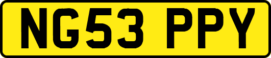 NG53PPY