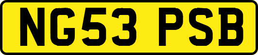 NG53PSB