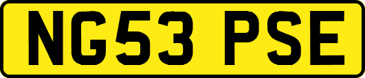 NG53PSE