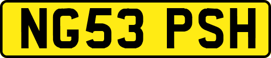 NG53PSH