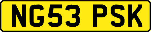 NG53PSK