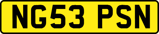 NG53PSN