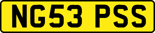NG53PSS