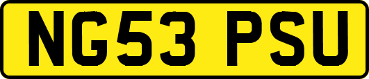 NG53PSU