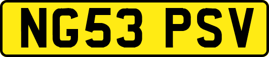 NG53PSV