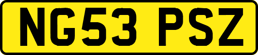 NG53PSZ