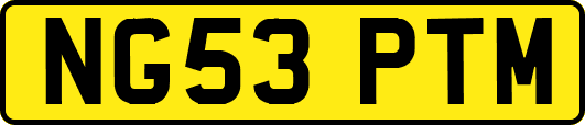 NG53PTM