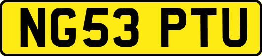 NG53PTU