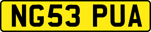 NG53PUA