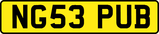 NG53PUB