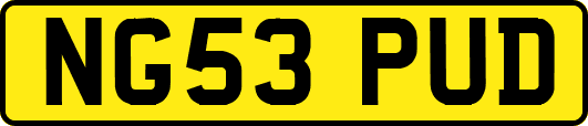 NG53PUD