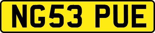 NG53PUE