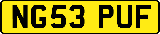 NG53PUF