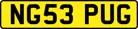 NG53PUG