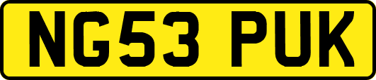 NG53PUK