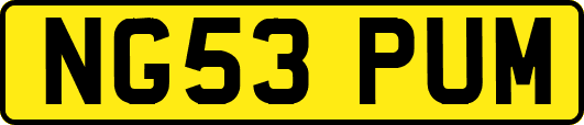 NG53PUM